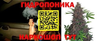мет Можга